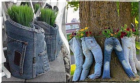 You can recycle jeans into flower pots.