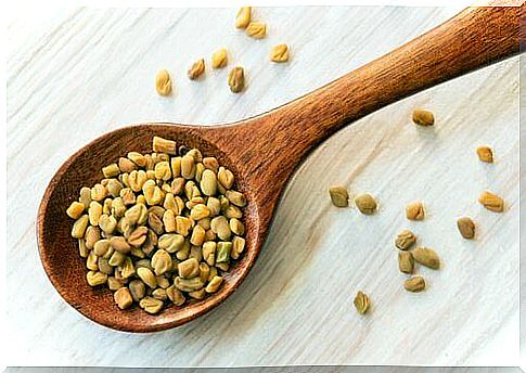 Fenugreek seeds