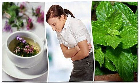 5 relieving herbs for irritable bowel syndrome