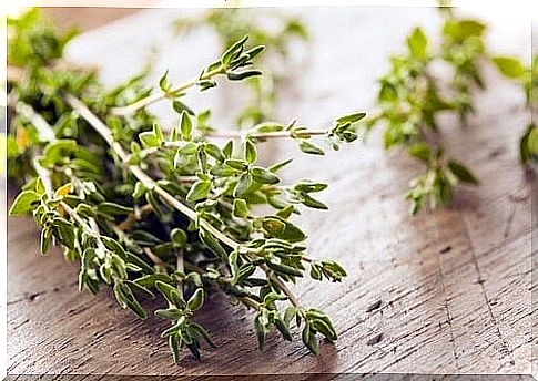 thyme