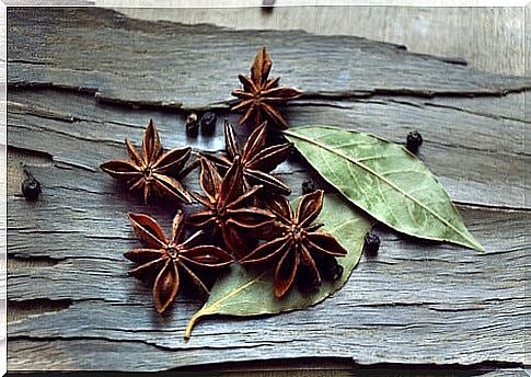 anise