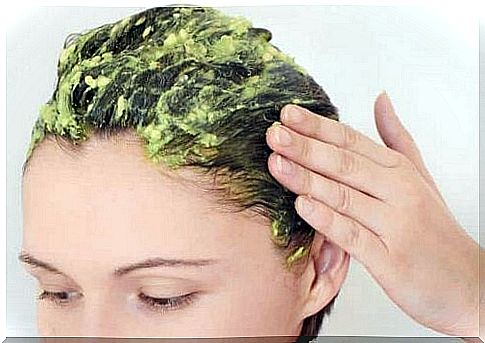 avocado in the hair