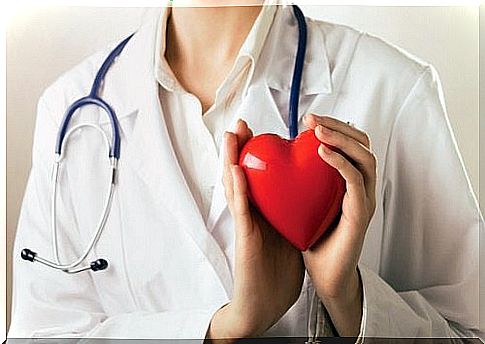 A doctor holds a heart