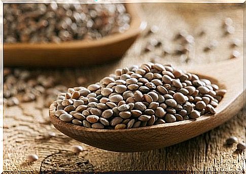 Lentils are good to have in your diet.