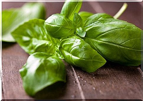 Basil is cholesterol lowering