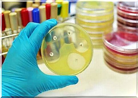 Rifampicin and tuberculosis