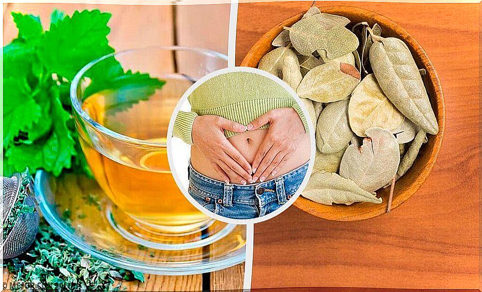 Five herbs to improve digestive problems