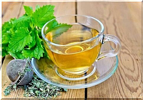 Lemon balm tea.