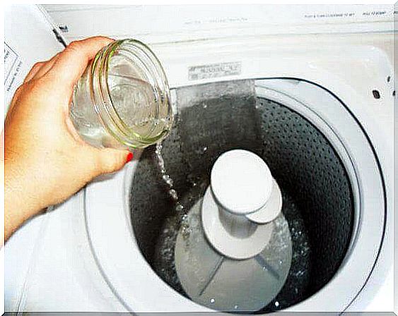 Natural cleaning to remove mold in the washing machine