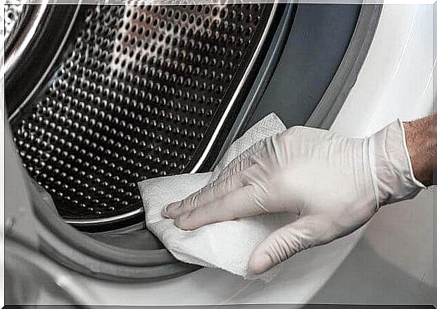 Natural cleaning to remove mold in the washing machine