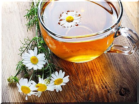 chamomile2