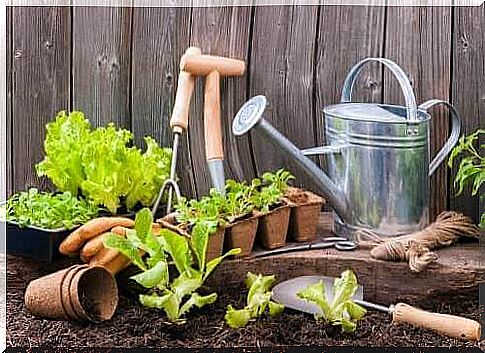 Equipment for an urban garden.