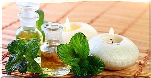 How to make mint oil at home