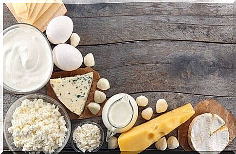 Reducing the intake of dairy products can improve kidney function