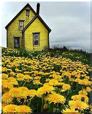 Yellow house