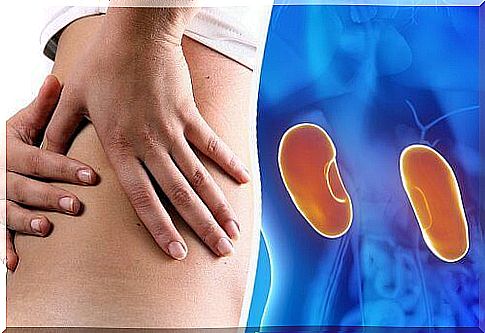 Kidney health and the effects of salt