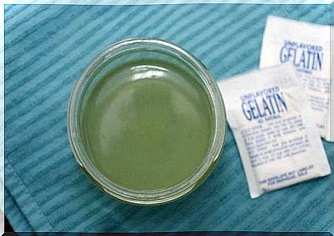 gelatin