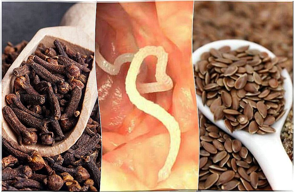 Learn to remove parasites from the body with cloves and flaxseed