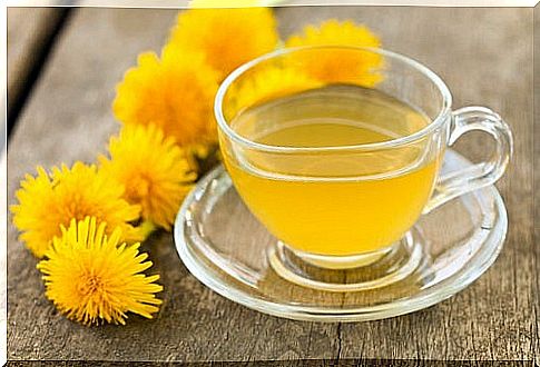 Dandelion for cleansing the body