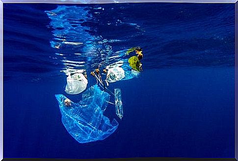 Plastic in the sea