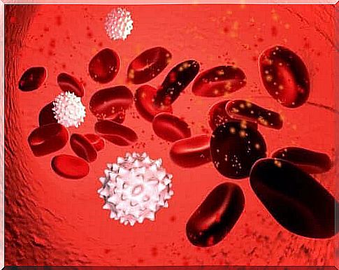 Infections of blood cells