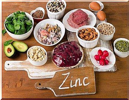 foods with a high zinc content