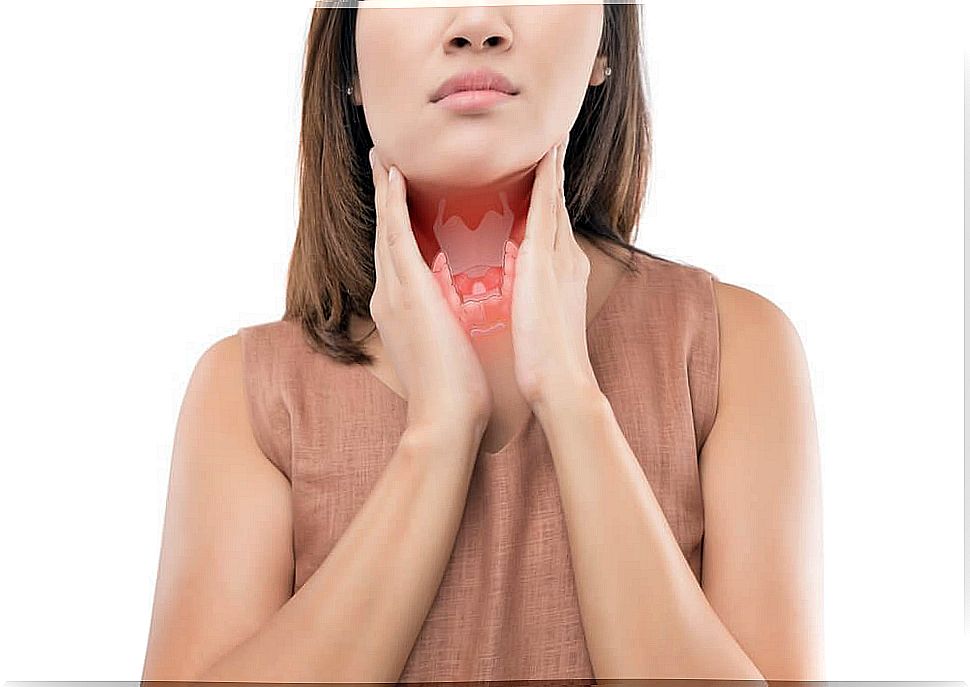 The thyroid gland secretes hormones