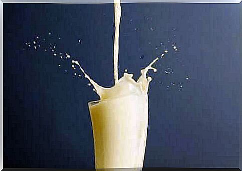 Whole milk and skim milk: Which is best?